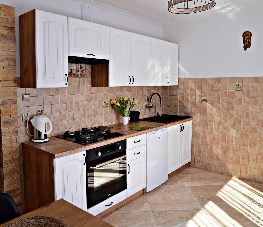 Apartament Z Tarasem I Pokoje Klimatyzowane -Drozdowka Solina Solina  Zewnętrze zdjęcie