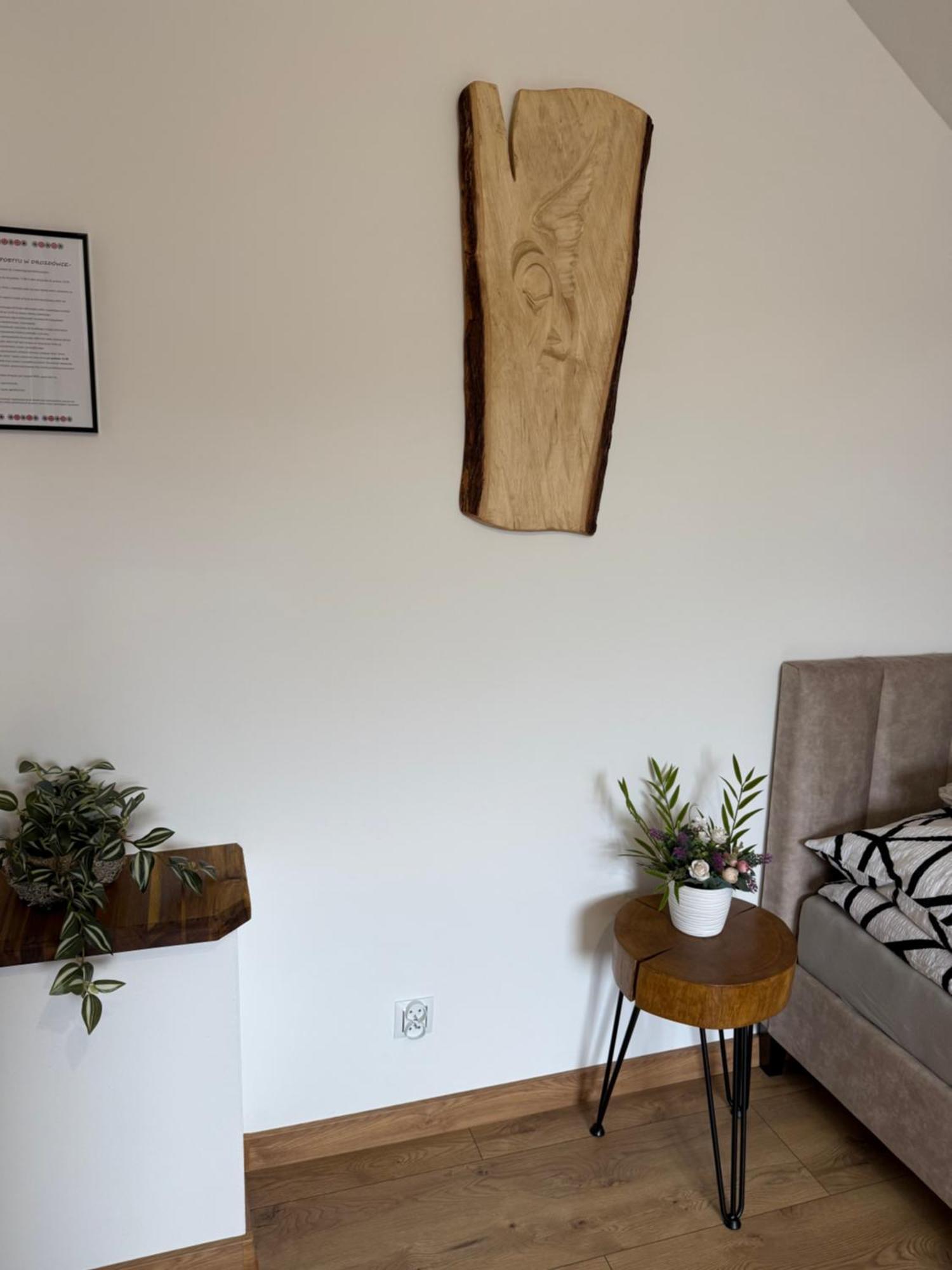 Apartament Z Tarasem I Pokoje Klimatyzowane -Drozdowka Solina Solina  Zewnętrze zdjęcie